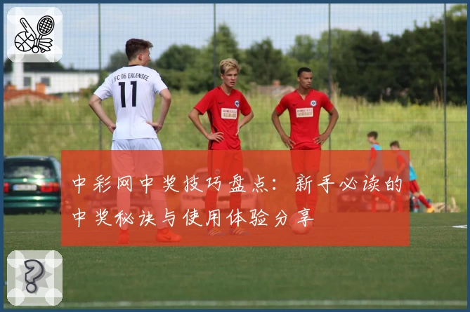 中彩网中奖技巧盘点：新手必读的中奖秘诀与使用体验分享